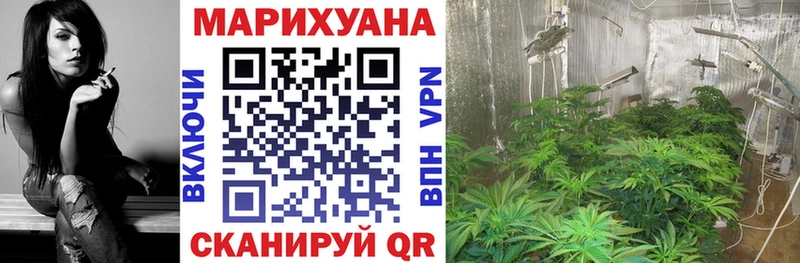 цена   Туймазы  Каннабис план 